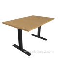 FENGYI Ergonomic 2 Motors 3 sections Standing Desk